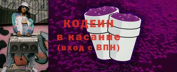 хмурый Вяземский